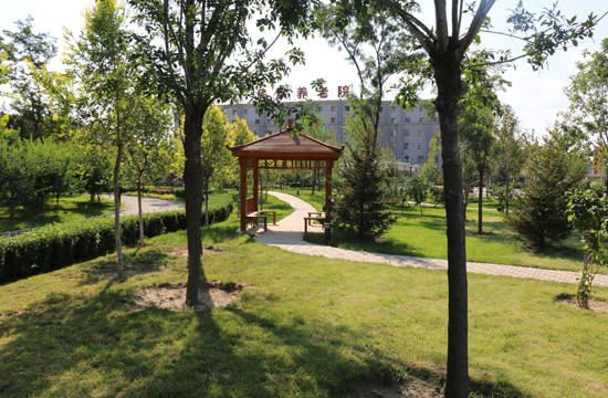 养护公寓丰台区民族养老院清线最新)j9九